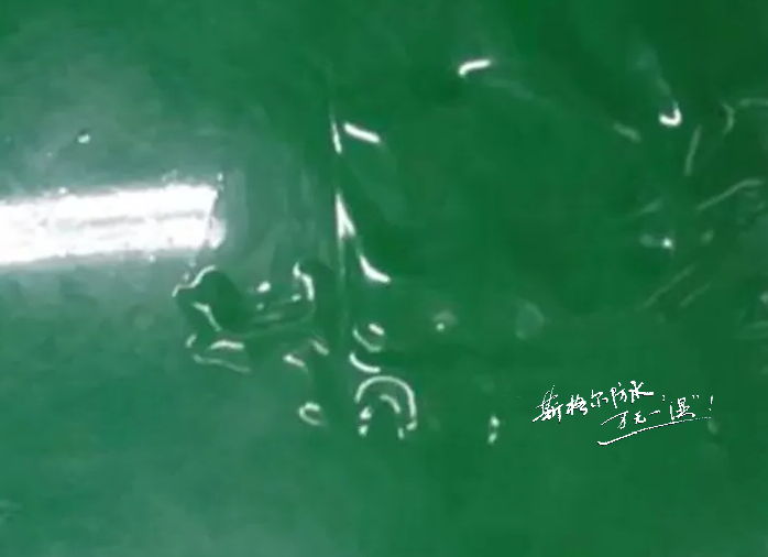 聚氨酯防水涂料施工后出現氣孔、氣泡、起鼓或脫層原因分析和解決辦法