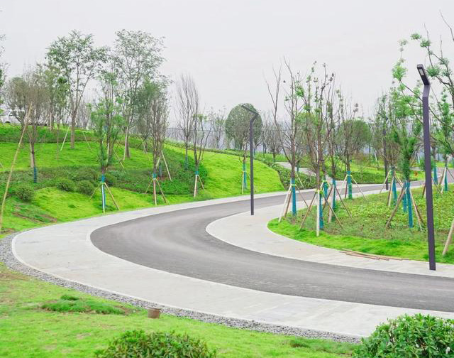 斯格爾防水案例-石坪體育公園斜屋面防水施工現(xiàn)場